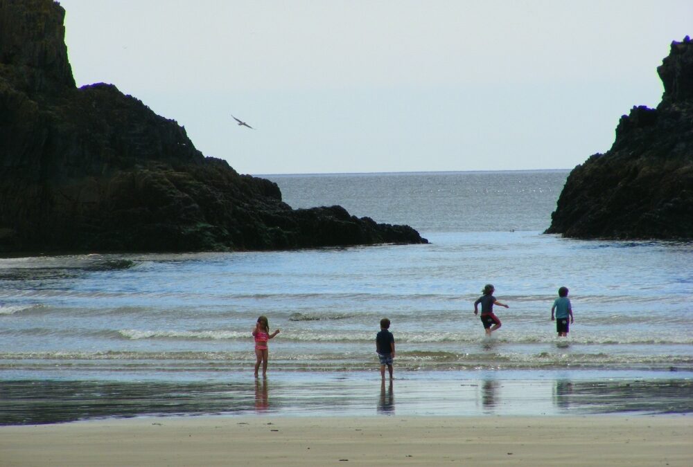 Stradbally Cove