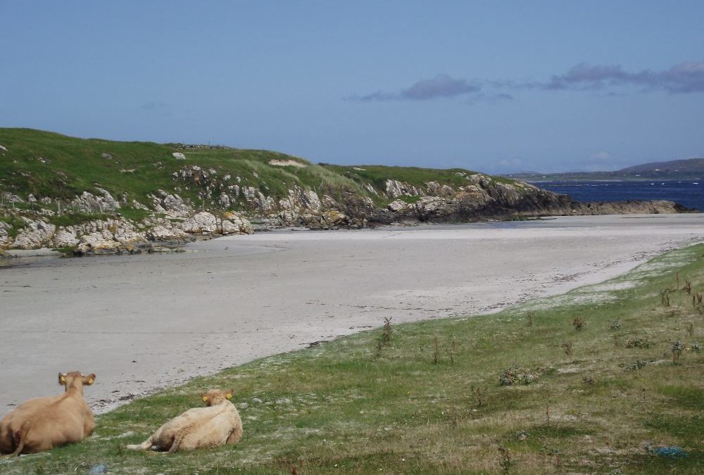 Doonloughan Bay, Connemara