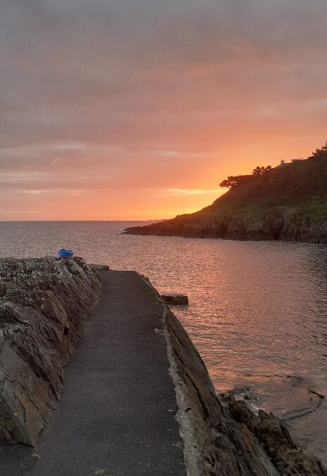 Jenny Watts Cove/ Brompton
