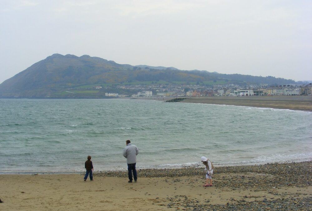 Bray