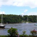 River_between_Crosshaven_and_Carrigaline,_Co_Cork_-_geograph.org.uk_-_1427312