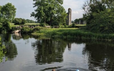 Wild swim spot: The Liffey at Batty Langley Lodge (Castletown Demesne)