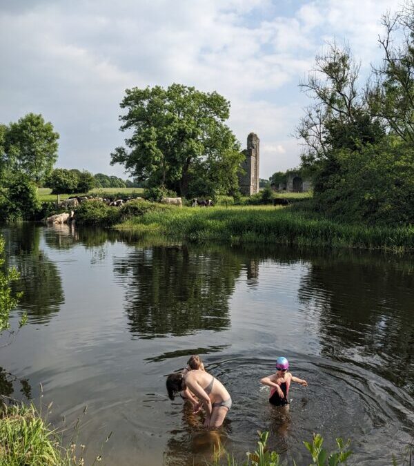 Wild swim spot: The Liffey at Batty Langley Lodge (Castletown Demesne)